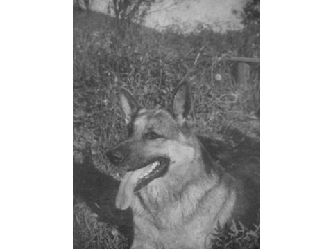 Foto 11